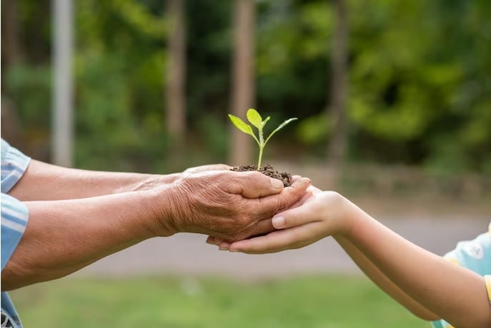 Embracing Ethical Business Practices and Corporate Social Responsibility for Sustainable Success