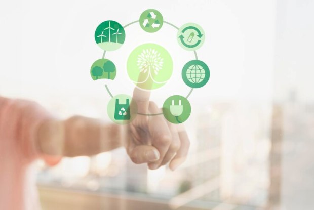 Sustainable Business: Embracing the Path to Thriving Enterprises